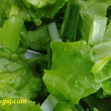 Zelena salata s belim lukom
